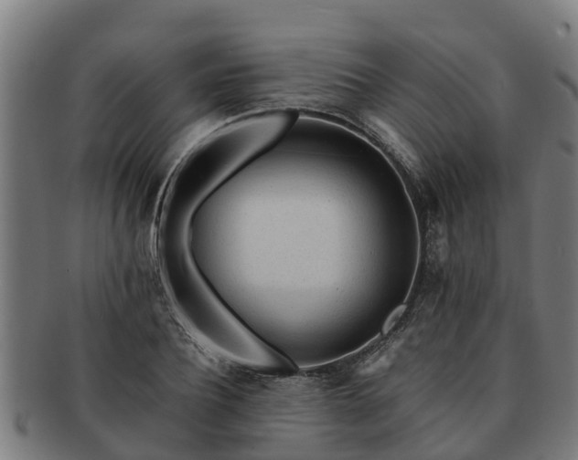 X0000091720932200708311135