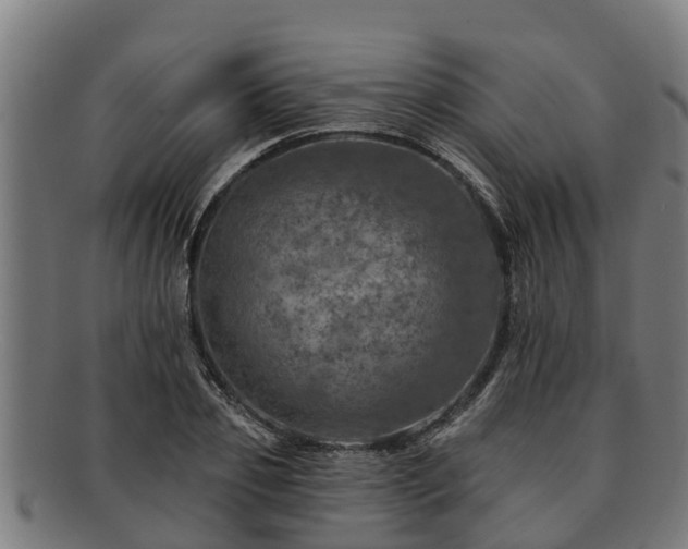 X0000091720933200708311135