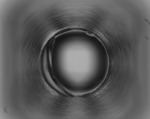 X0000091720934200708311135