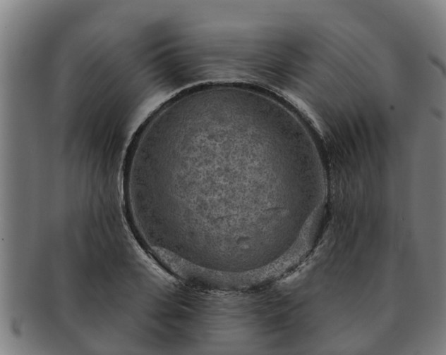 X0000091720935200708311135