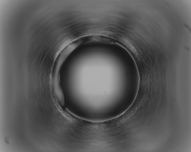 X0000091720936200708311135