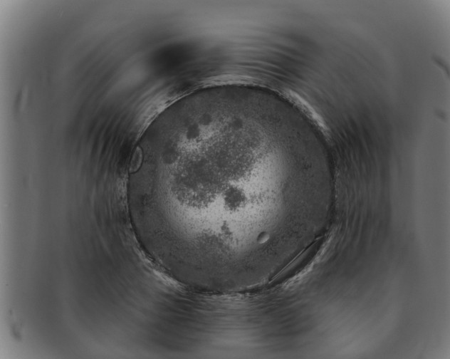 X0000091720937200708311135