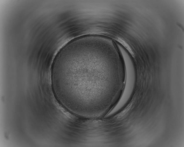 X0000091720939200708311135