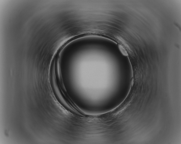 X0000091720940200708311135