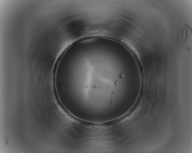 X0000091720941200708311135