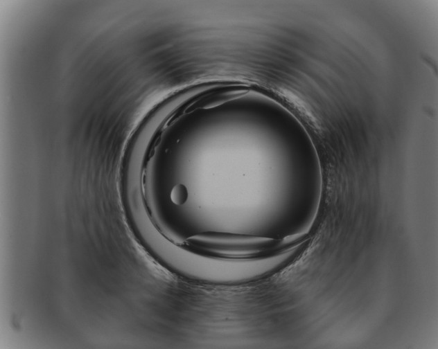 X0000091720942200708311135