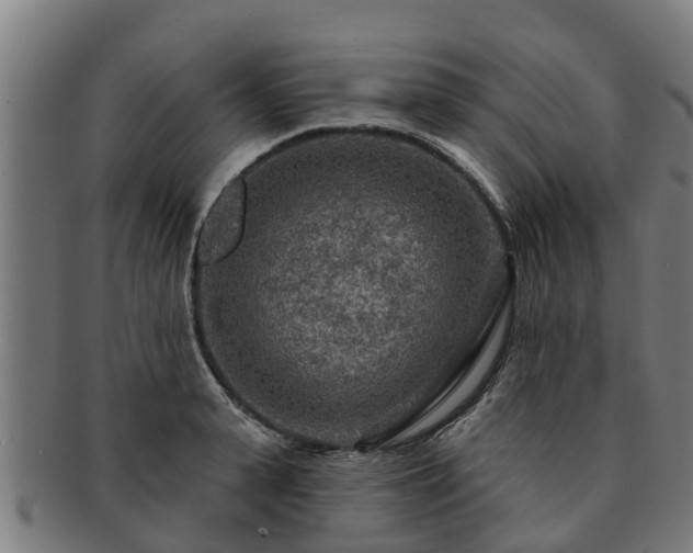 X0000091720943200708311135