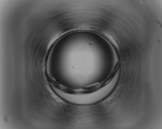 X0000091720944200708311135