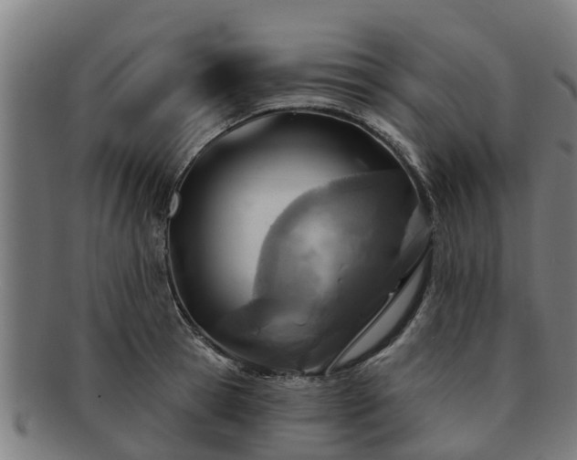 X0000091720945200708311135