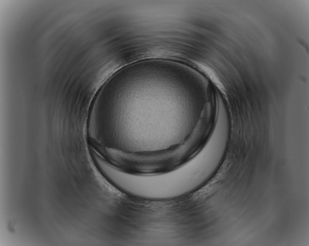 X0000091720946200708311135