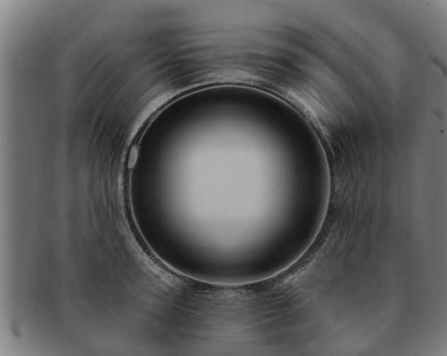 X0000091720947200708311135