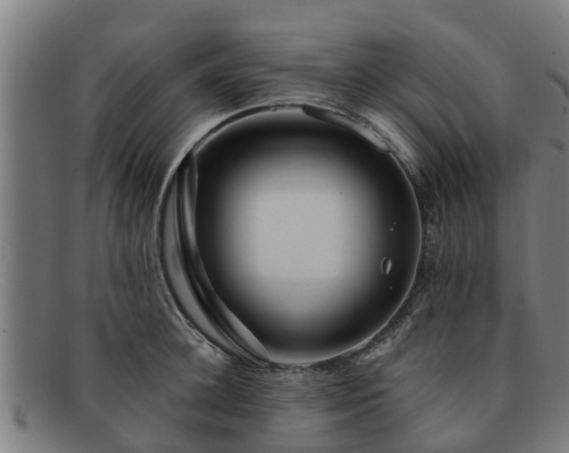 X0000091720948200708311135