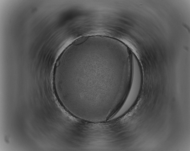 X0000091720949200708311135