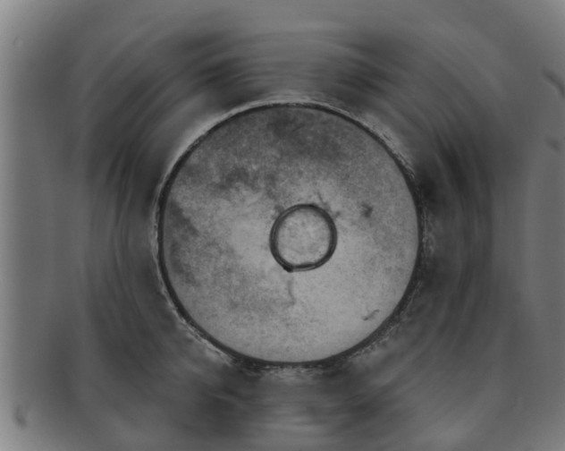 X0000091720950200708311135