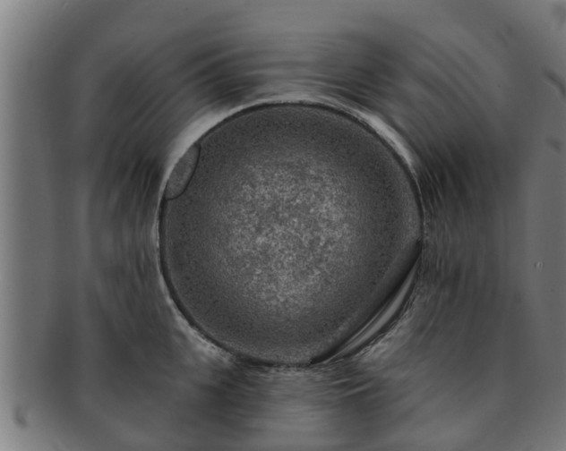 X0000091720951200708311135