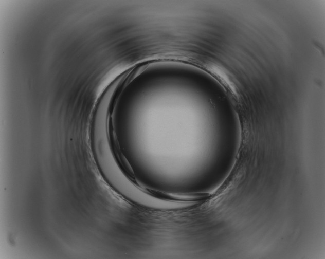 X0000091720952200708311135