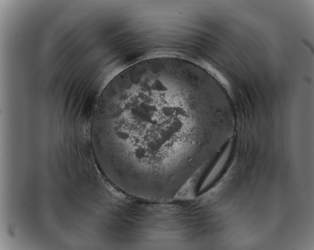 X0000091720953200708311135