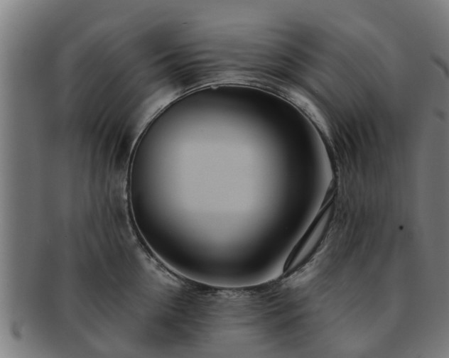 X0000091720954200708311135