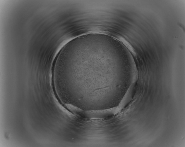 X0000091720955200708311135