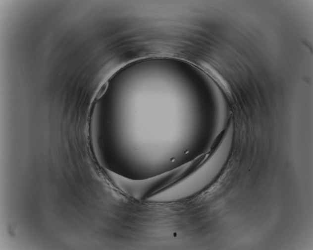 X0000091720956200708311135