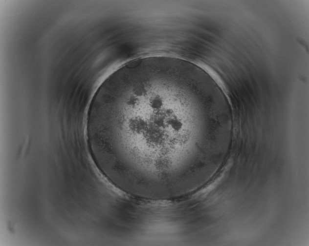 X0000091720957200708311135