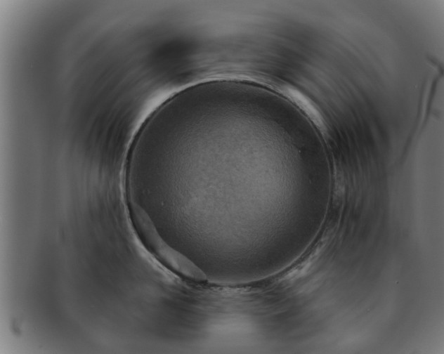 X0000091720958200708311135