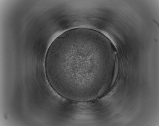 X0000091720959200708311135