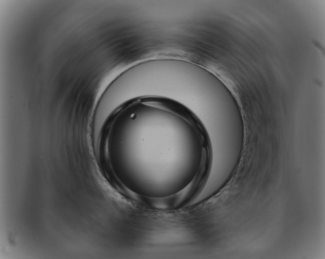 X0000091720960200708311135