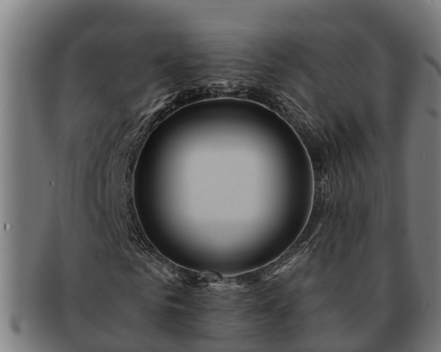 X0000091720961200708311135