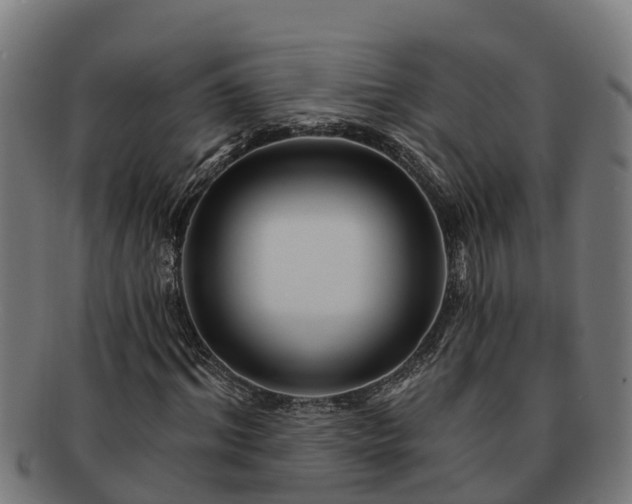 X0000091720964200708311135