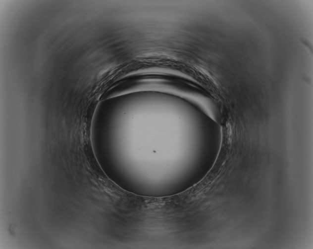 X0000091720965200708311135