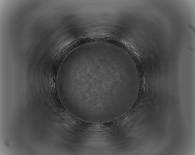 X0000091720966200708311135