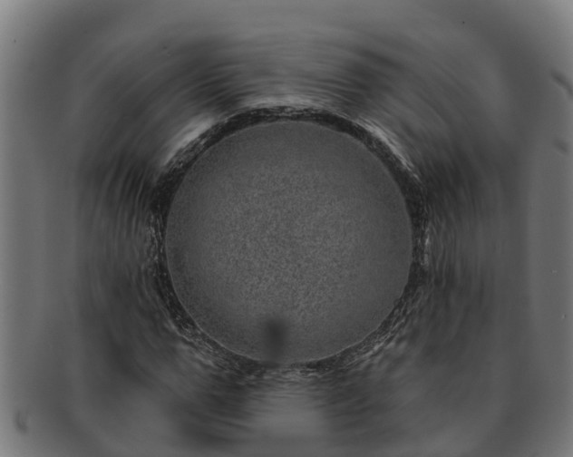 X0000091720967200708311135