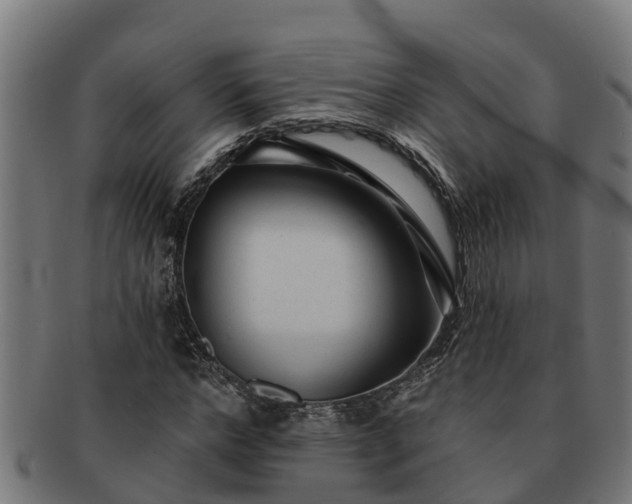 X0000091720968200708311135