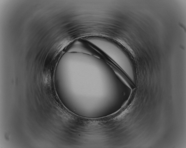 X0000091720969200708311135