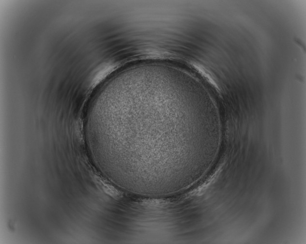 X0000091720970200708311135