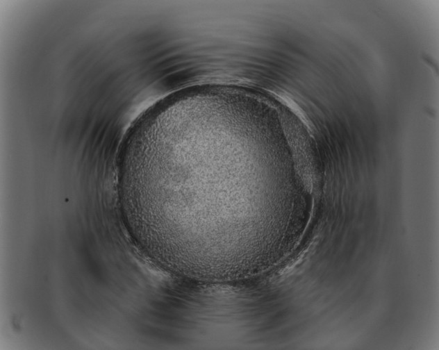 X0000091720971200708311135