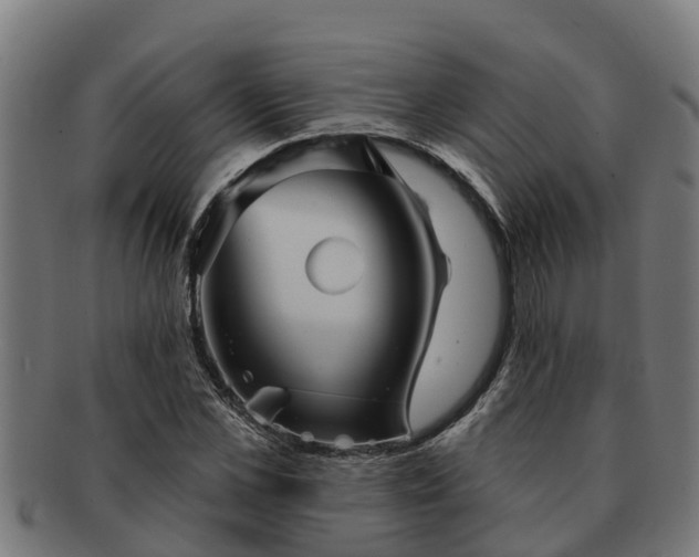 X0000091720973200708311135