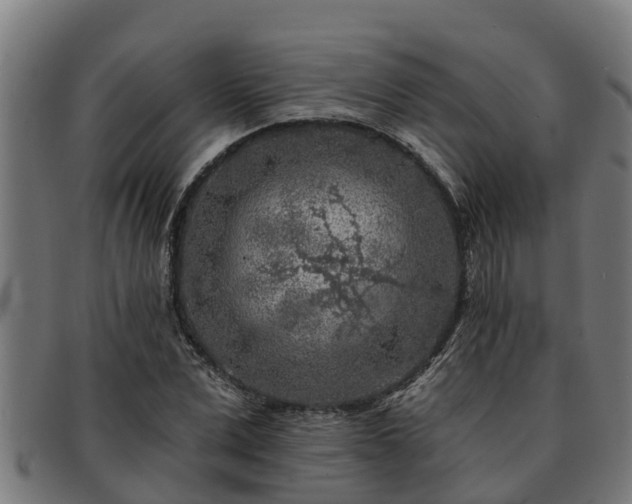 X0000091720975200708311135