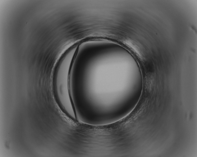 X0000091720976200708311135