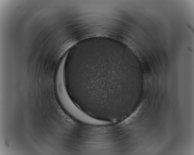 X0000091720977200708311134