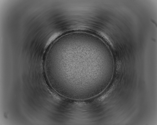 X0000091720978200708311134