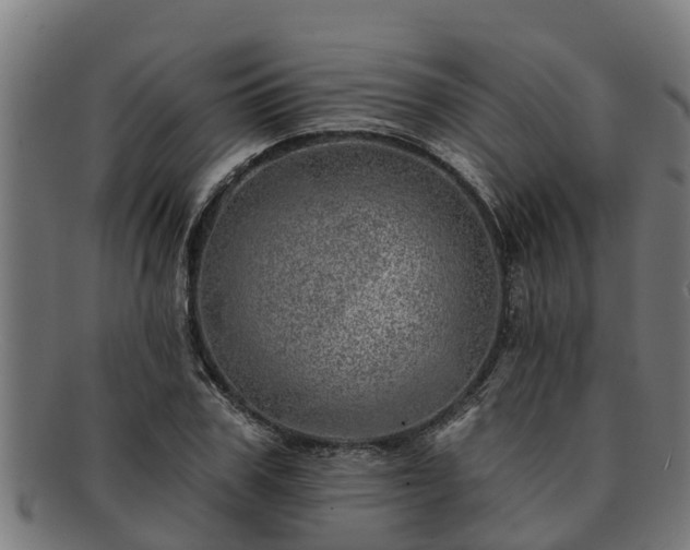 X0000091720979200708311134