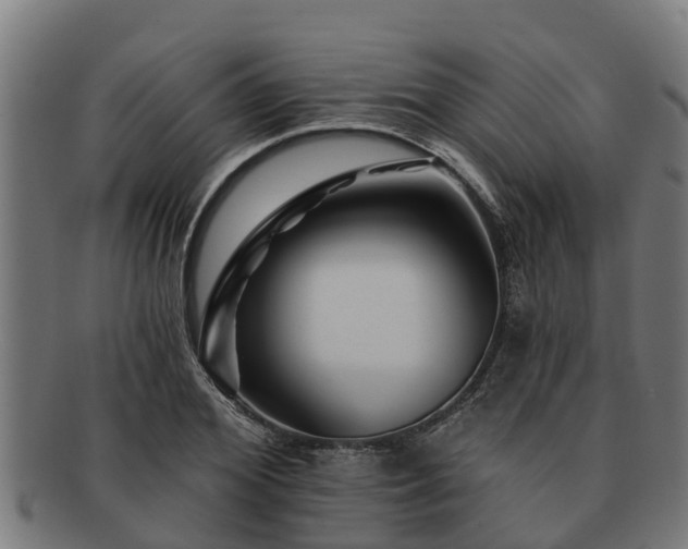 X0000091720980200708311134