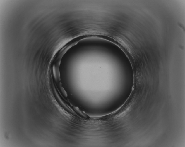 X0000091720981200708311134