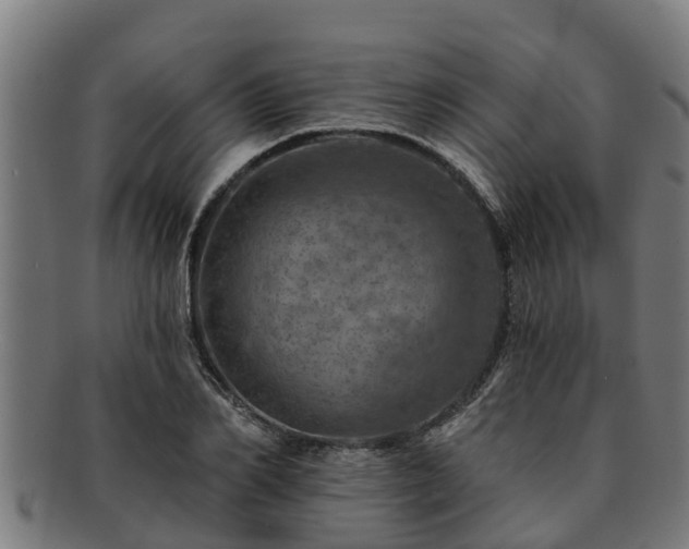 X0000091720982200708311134