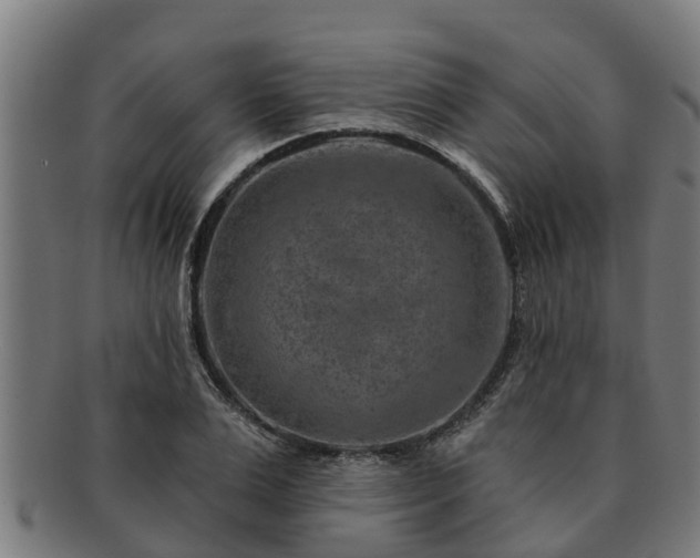 X0000091720983200708311134