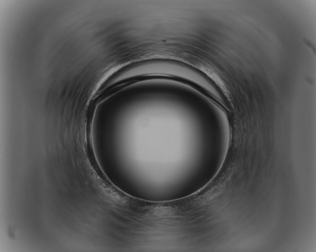 X0000091720984200708311134