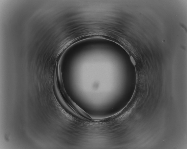 X0000091720985200708311134