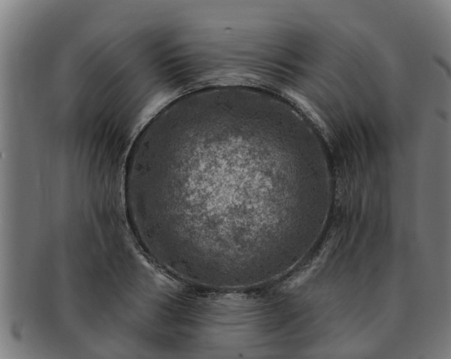 X0000091720986200708311134